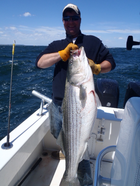 Catching Striped Bass on Tandem Mojo's with lots of laughs on 34